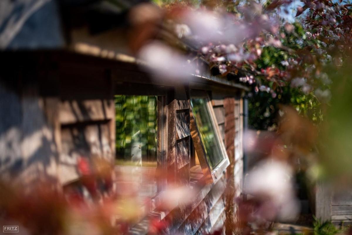 The Tool Shed Nestled In Idyllic Countryside Villa Linchmere Exterior photo