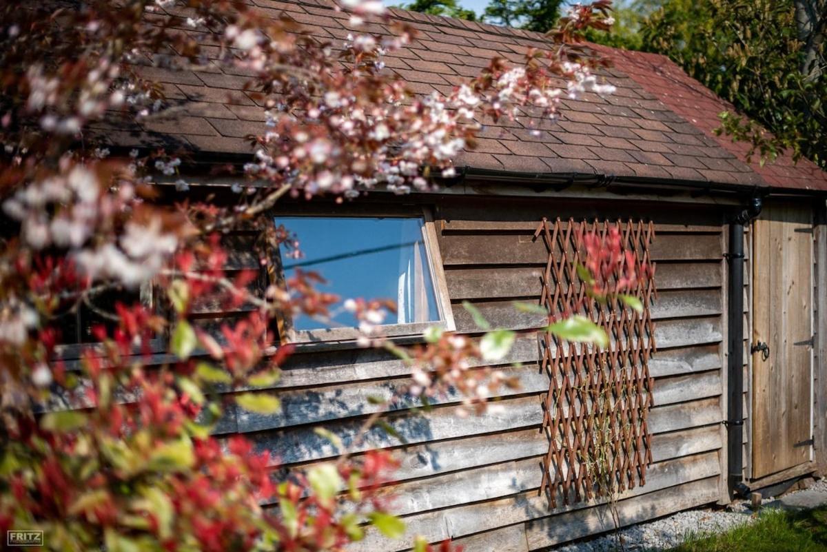 The Tool Shed Nestled In Idyllic Countryside Villa Linchmere Exterior photo