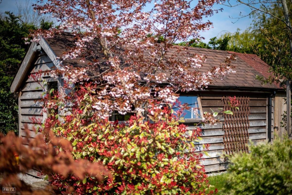 The Tool Shed Nestled In Idyllic Countryside Villa Linchmere Exterior photo